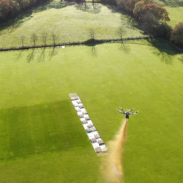 Cricket Pitch